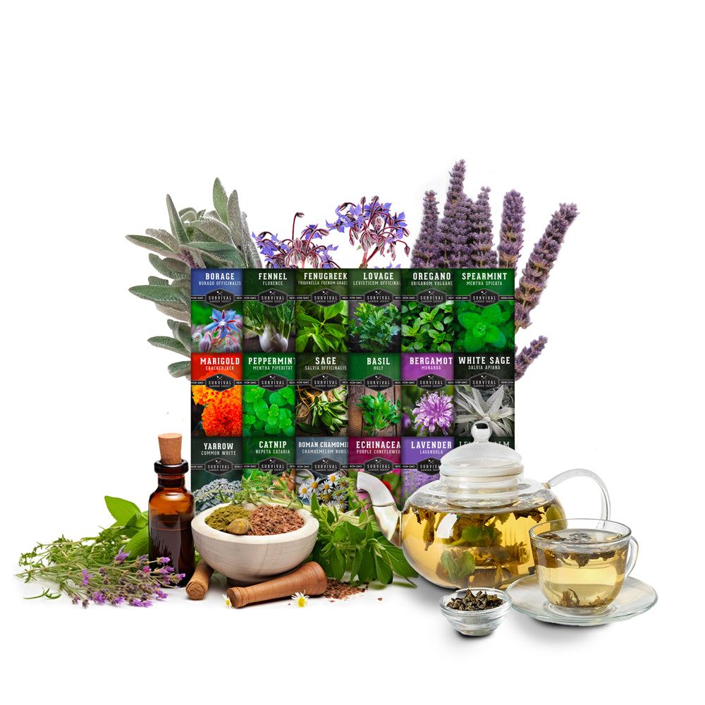 Non-GMO Heirloom Herbs & Flowers for Full Sun - 18 Pack "