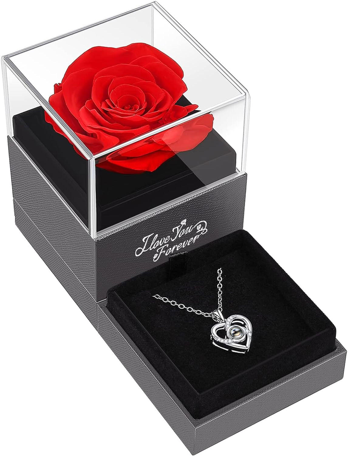 Preserved Red Real Rose with I Love You Necklace